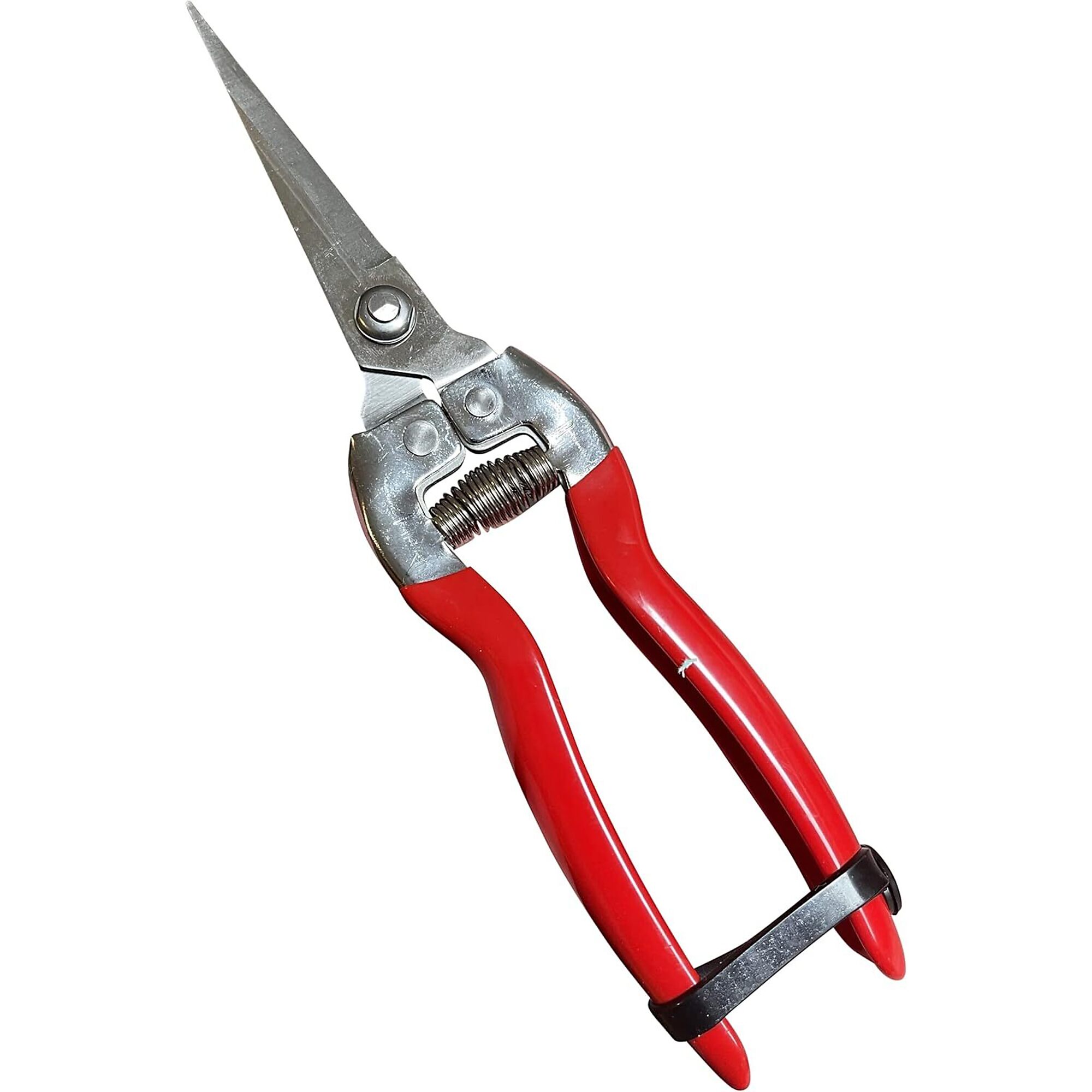 Garden Guru, 8in. Pruner, Model# PRUNE8